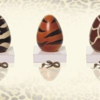 Roberto Cavalli - chocolat - 2