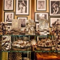 Roberto Cavalli - chocolat - 3