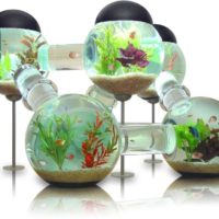 Aquarium Labyrinth - 1