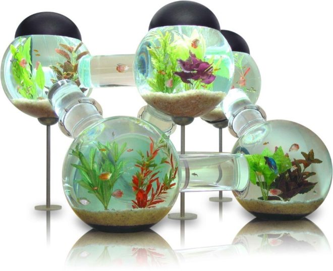 Aquarium Labyrinth - 1