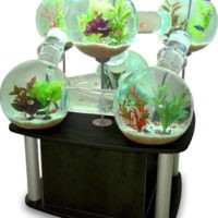 Aquarium Labyrinth - 2