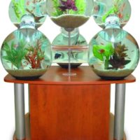 Aquarium Labyrinth - 3