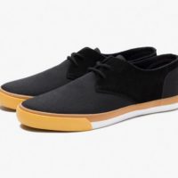 Comme des Garçons et Pointer - 1