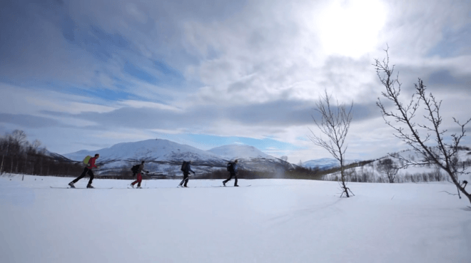 Norvège - Nature - 1