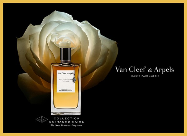 Rose Velours, le nouveau parfum de Van Cleef