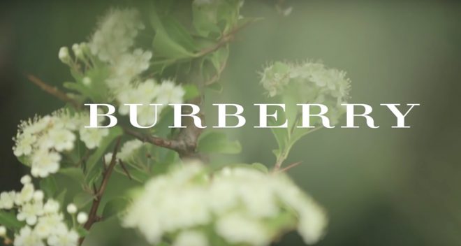 Burberry