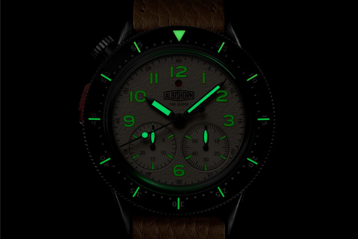 Albishorn Type 10 Officer