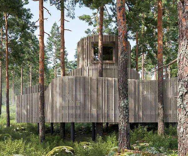 Oasis treehotel 2