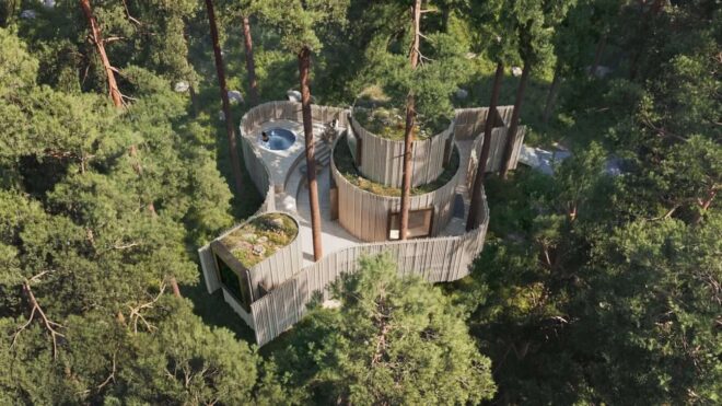 Oasis treehotel 1