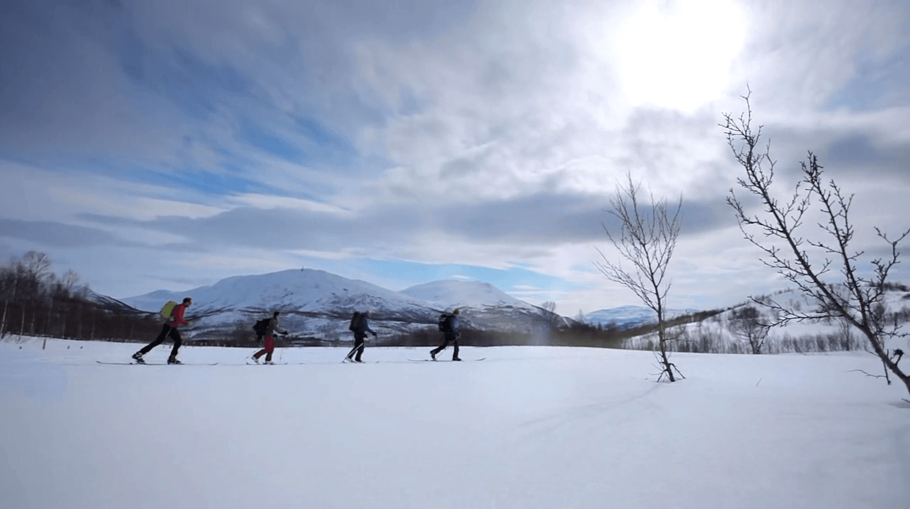 Norvège - Nature - 1