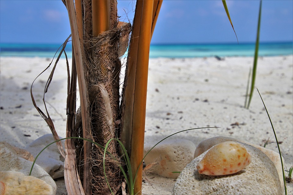 Maldives